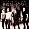 Bon Jovi: Single und Best-of